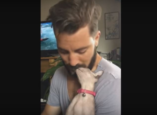 This Cat Loves Rubbing Her Head On Her Humans Beard So Sweet Its